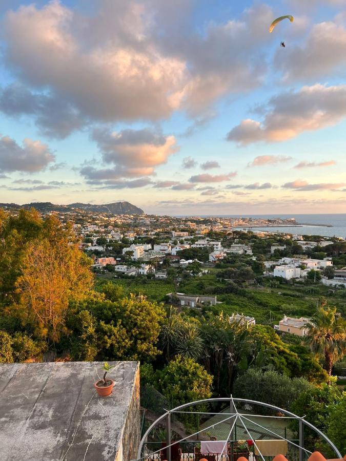 Forio di Ischia Blu Panorama Bed & Breakfast エクステリア 写真