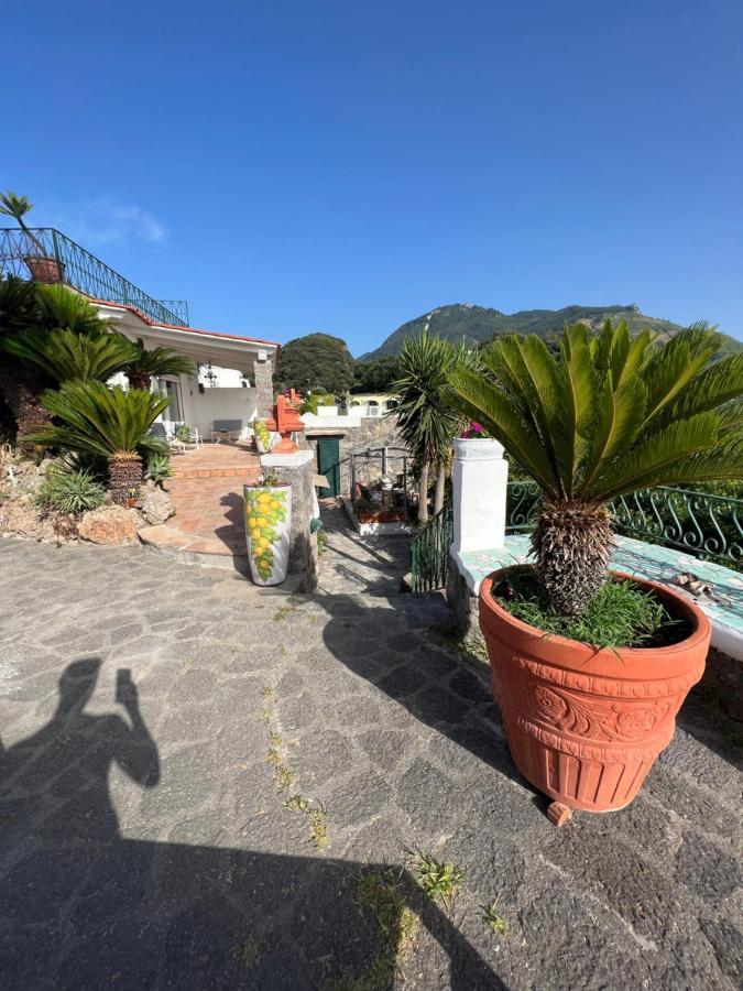 Forio di Ischia Blu Panorama Bed & Breakfast エクステリア 写真