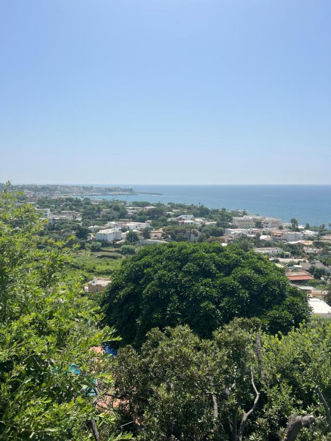 Forio di Ischia Blu Panorama Bed & Breakfast エクステリア 写真