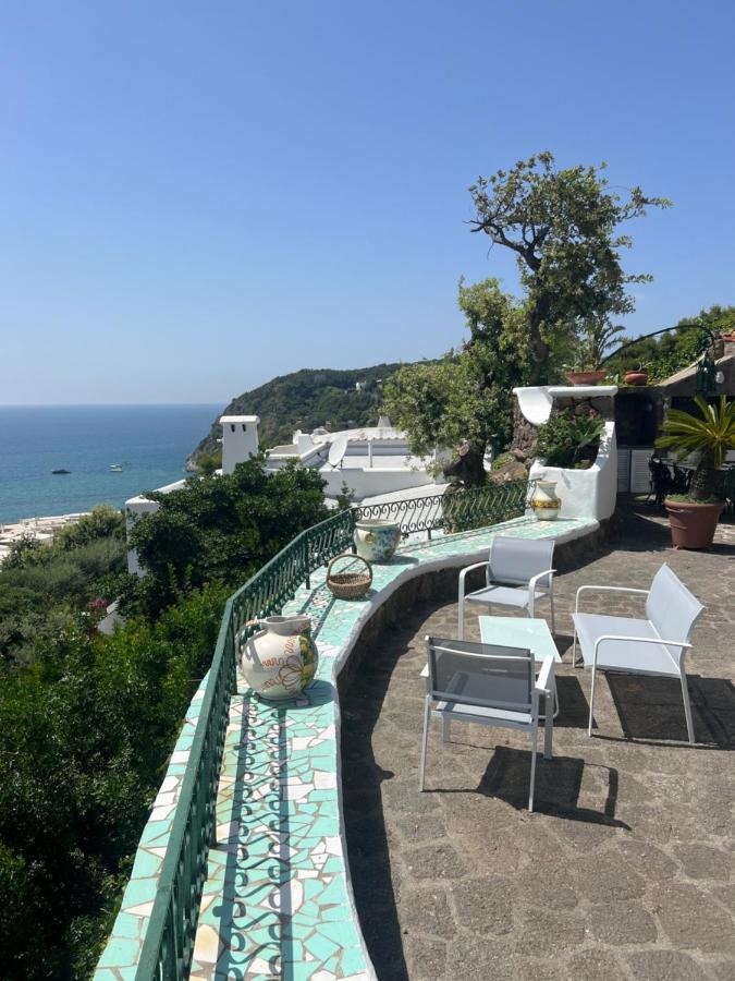 Forio di Ischia Blu Panorama Bed & Breakfast エクステリア 写真